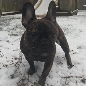 Meet your Posher, Linda